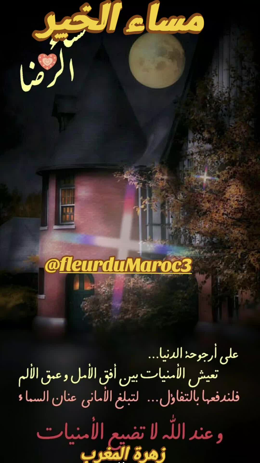 @زهرة المغرب