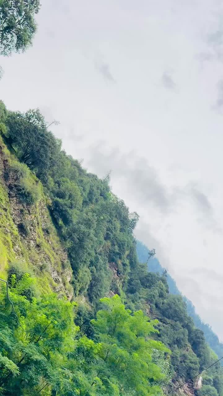 @♥️Zawar Azhar jeelani♥️