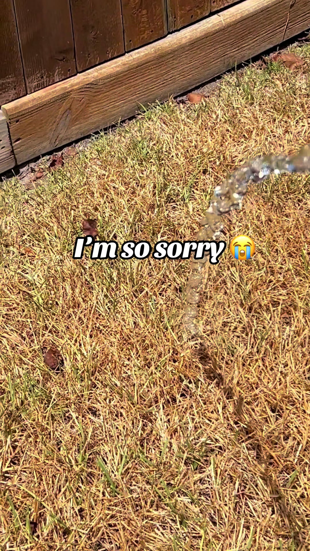 @Tickbone