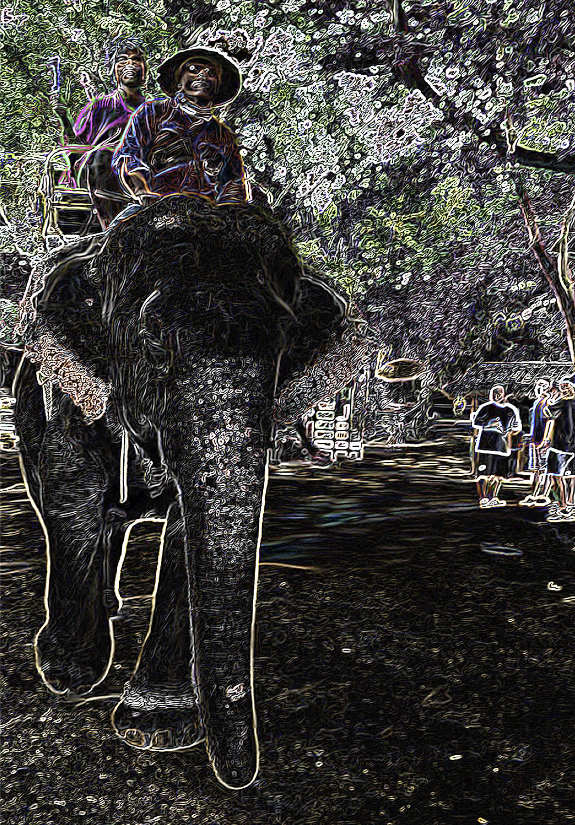 Granny Go Dumb (@grannygodumbofficial) - Urlebird