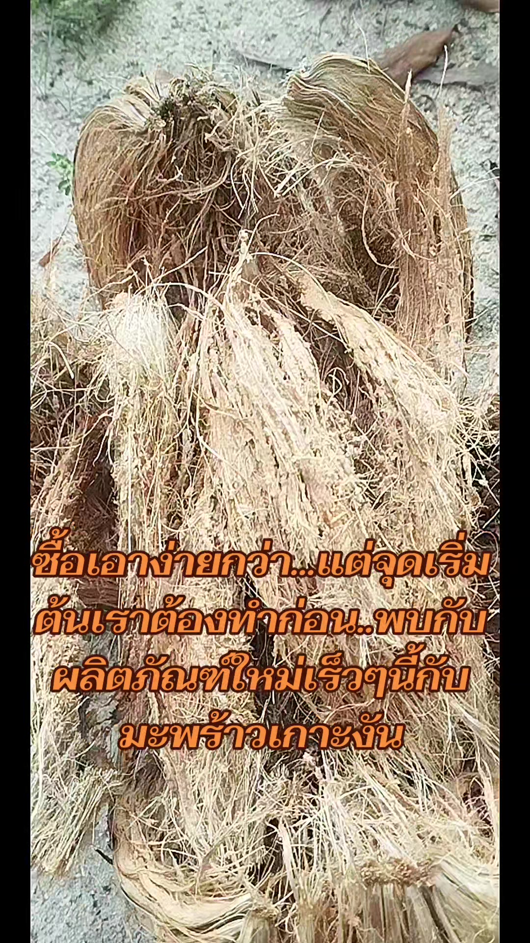 @มูมู่พาวิว