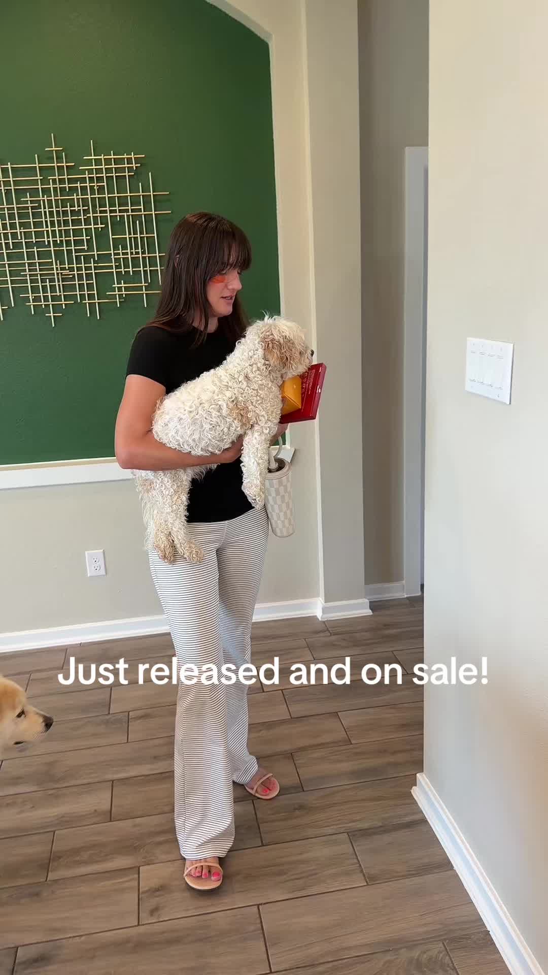 @mjvanicek