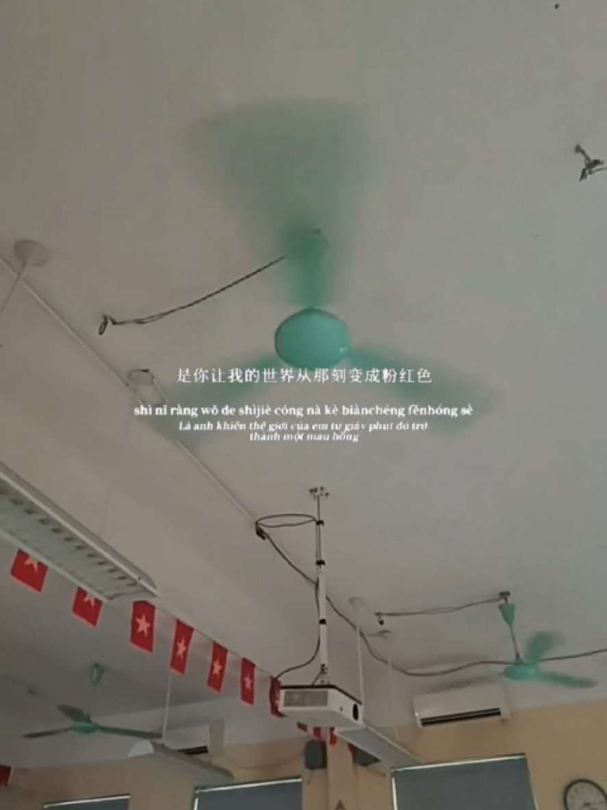 @ceiling fan is vietnam