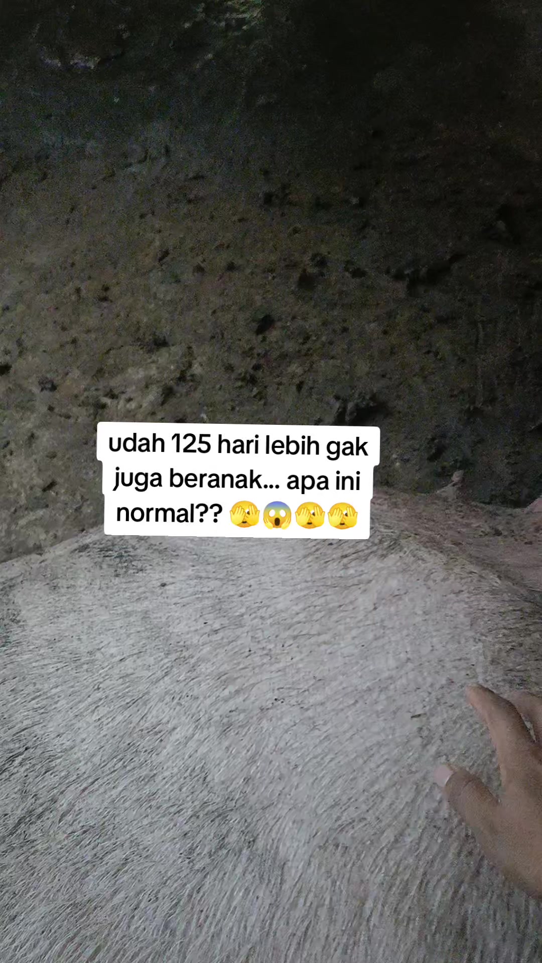 @mama Brigita