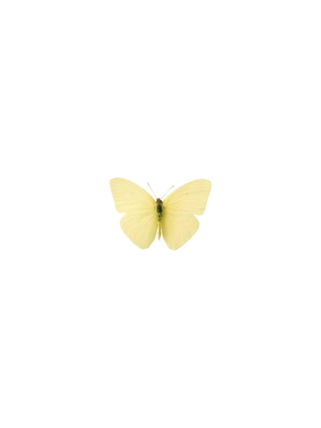 @꒱ ׁ ₊˚🖇️✩ Y̲u̲k̲i̲ ݂ ׁ⤸ ◍ֶָ֢