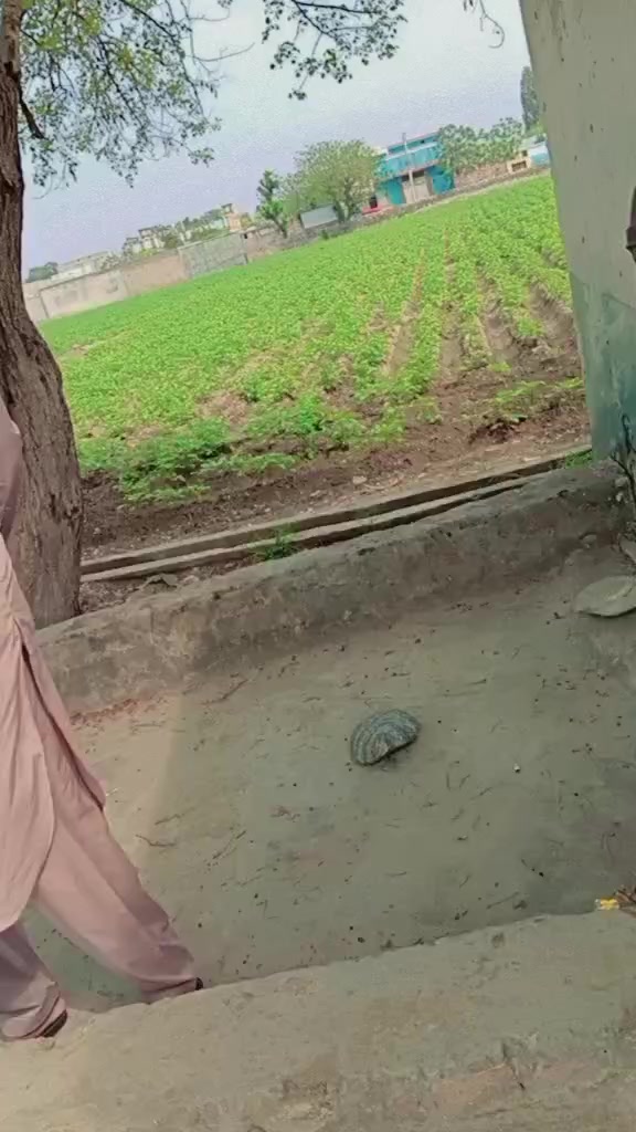 @Zulfiqar0307