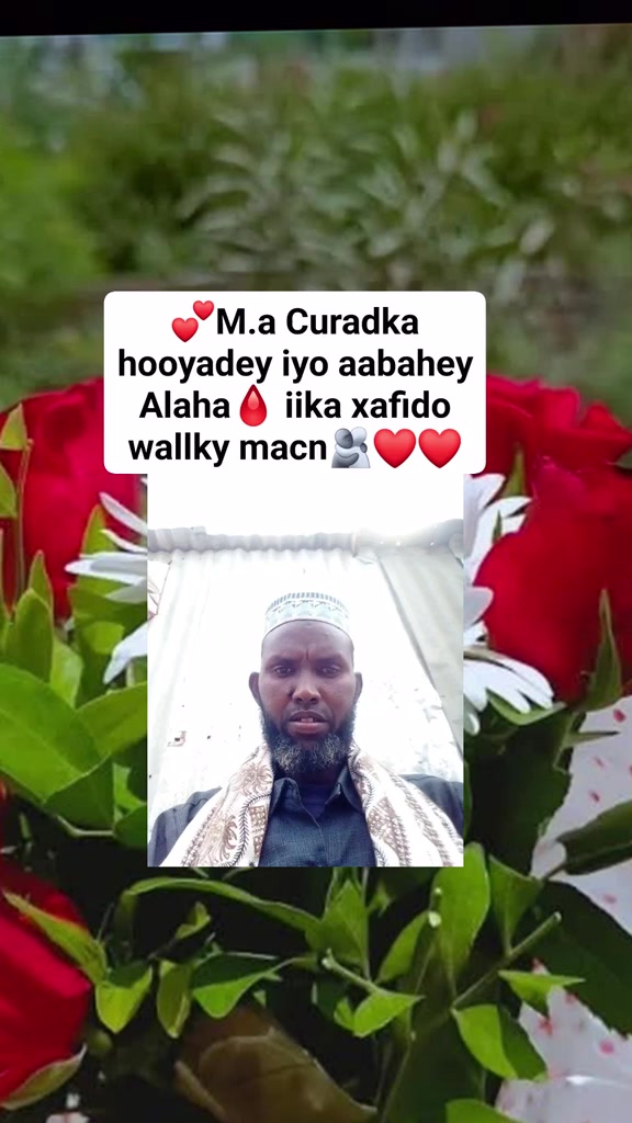 @sahromoalimqoriyo