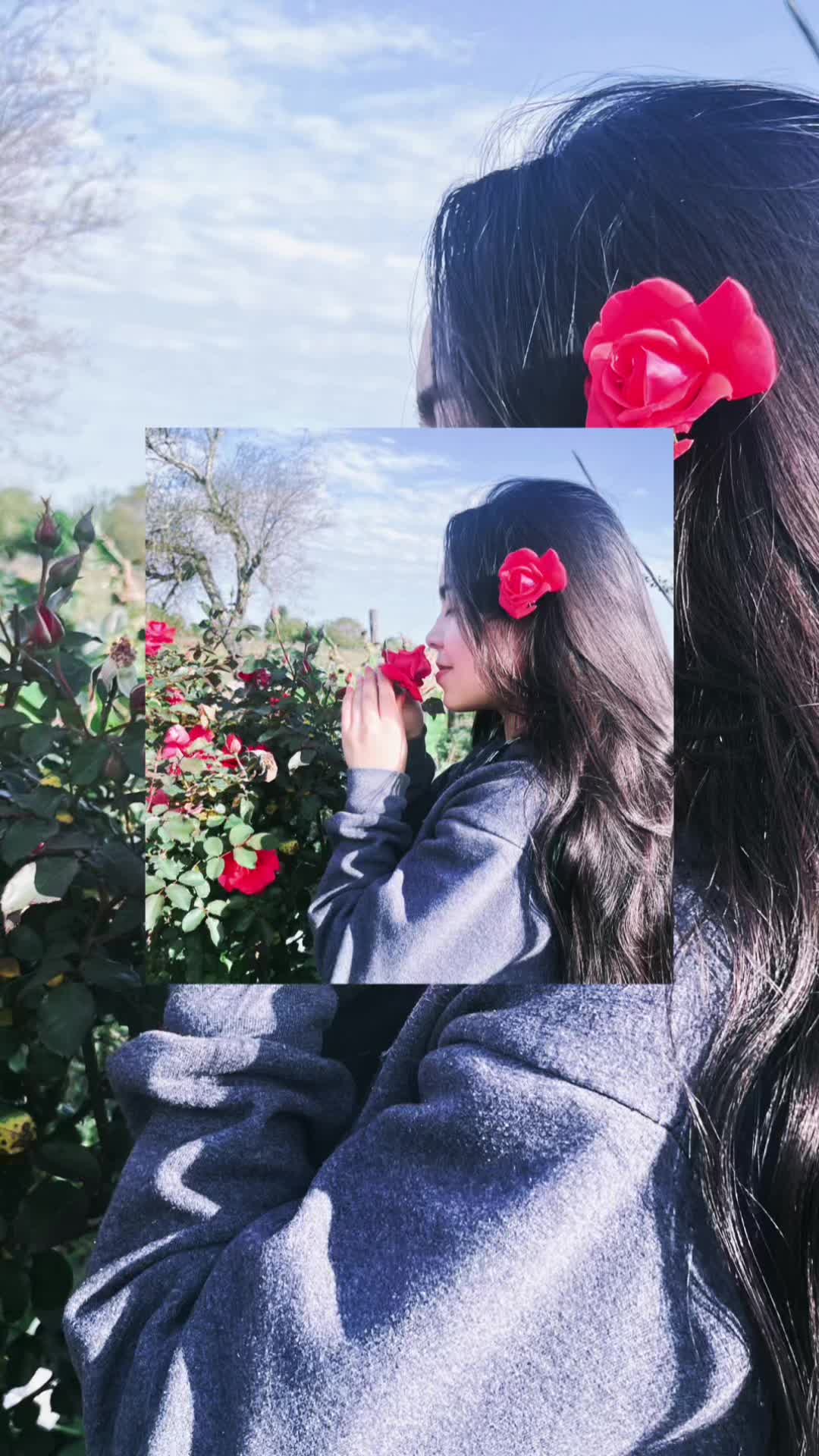 @Araceli zorzon