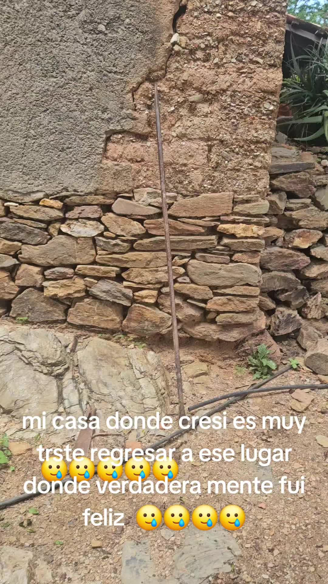 @clararabadan292