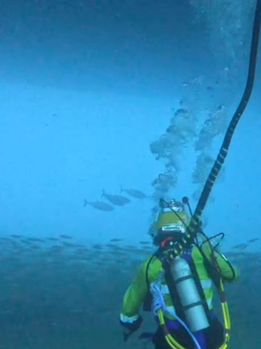 @auscomdiver