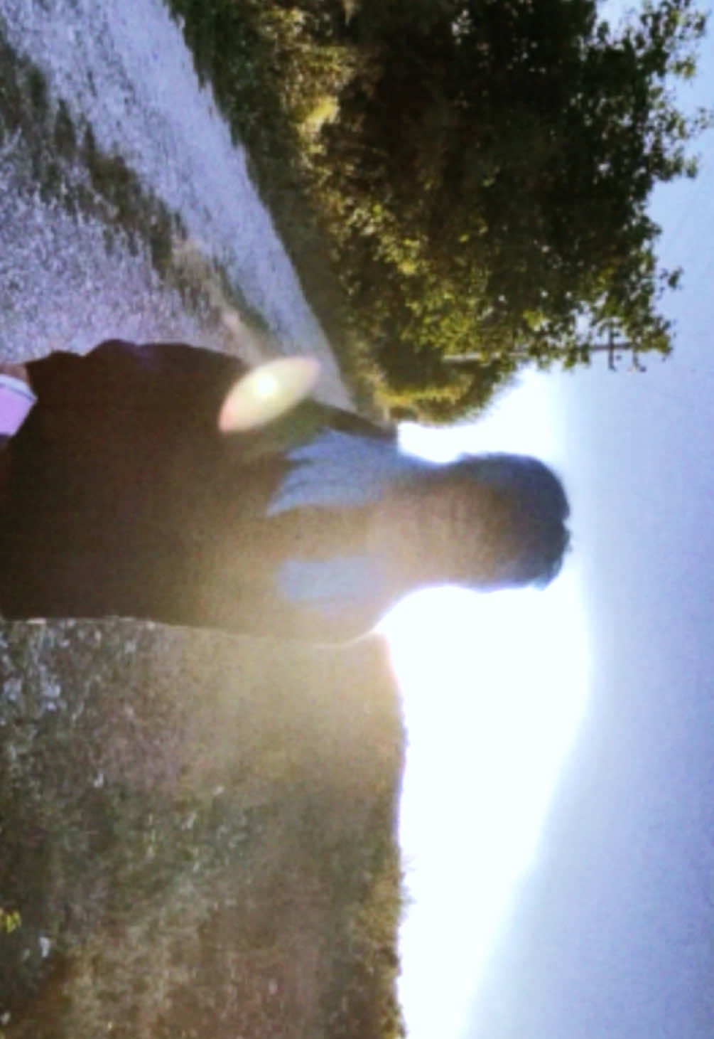 @neirinz ☆