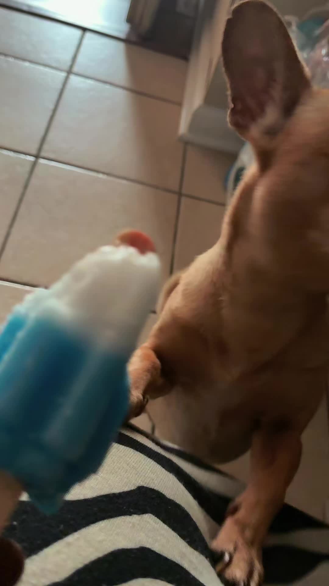@Theyadoreme03