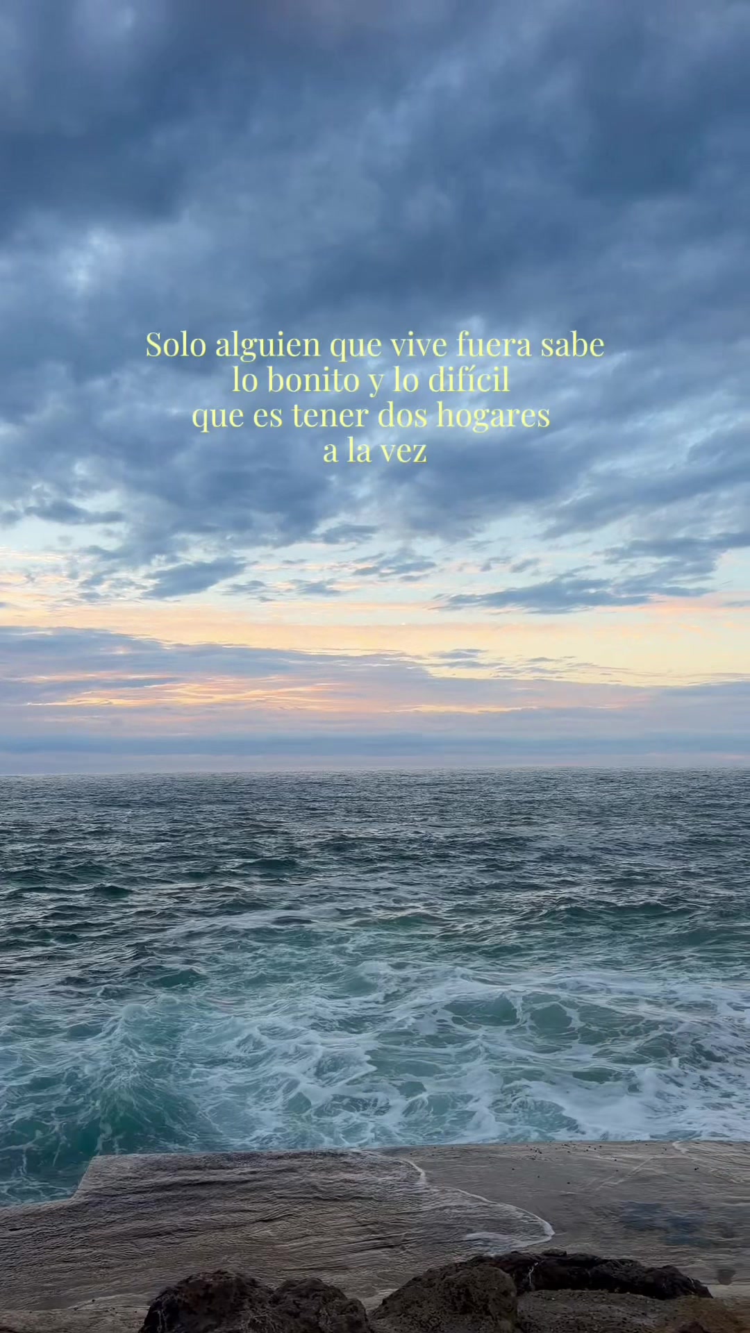 @ladanienspain