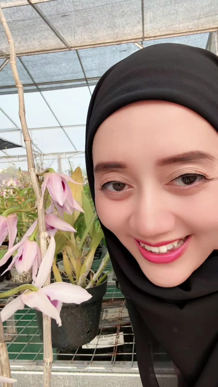 @Anggina Orchid