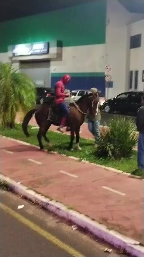 @aranhas