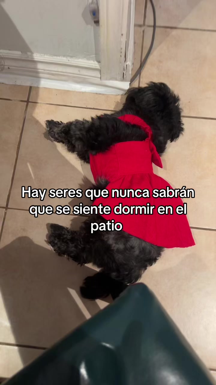 @Lucy Pantoja 🎀