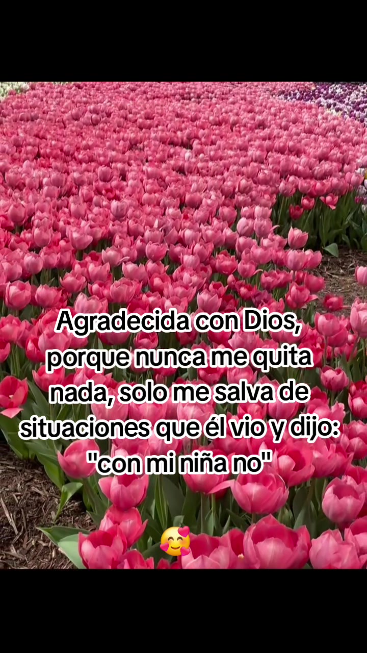 @🌷👸