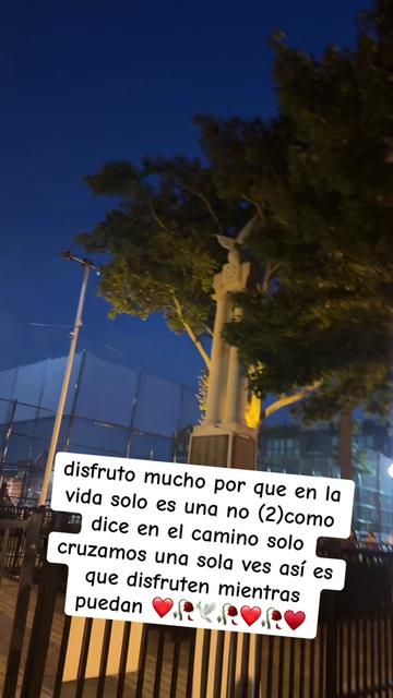 @chimborazo luis 593🇪🇨