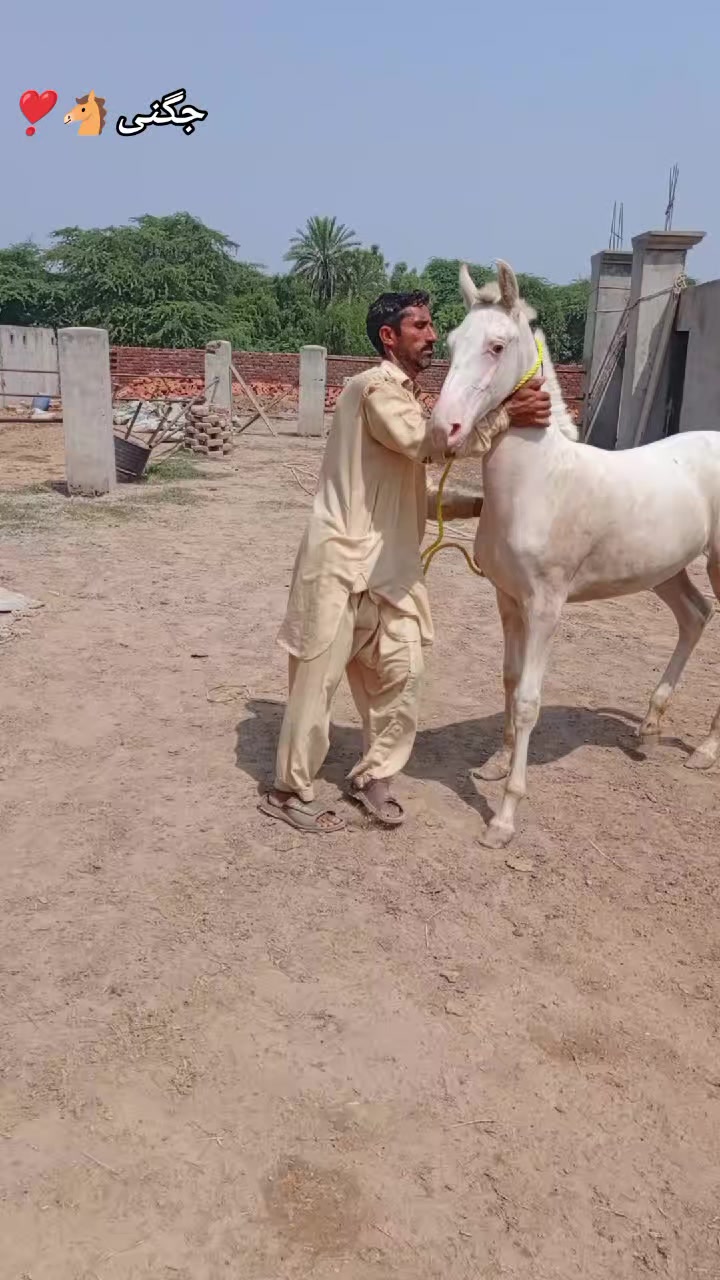 @@𝙂𝙍 𝙃𝙤𝙧𝙨𝙚 𝙁𝙖𝙧𝙢 🐴