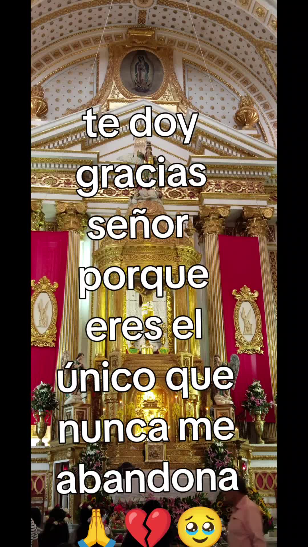 @Laurita Orta608