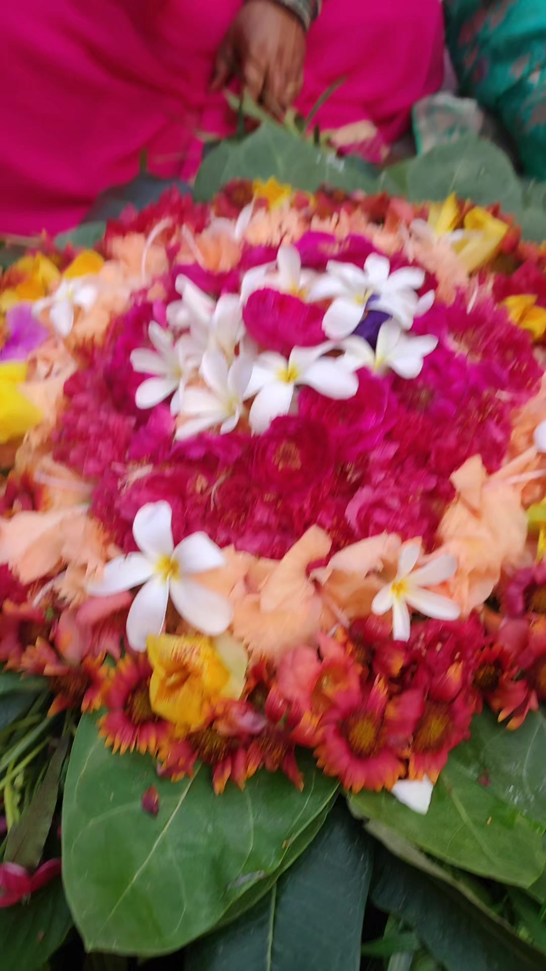 @Anshu Jha