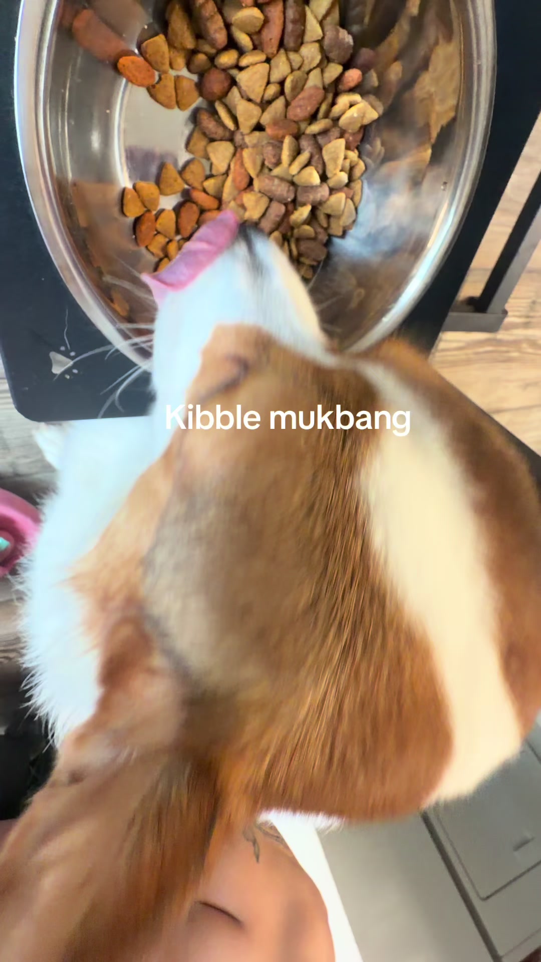 @aerusroommate