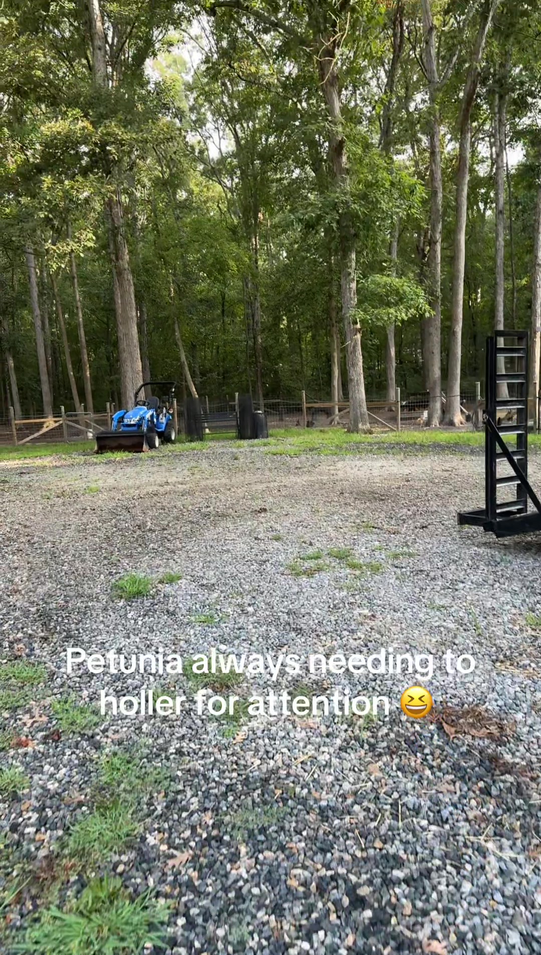 @whiteoakacres