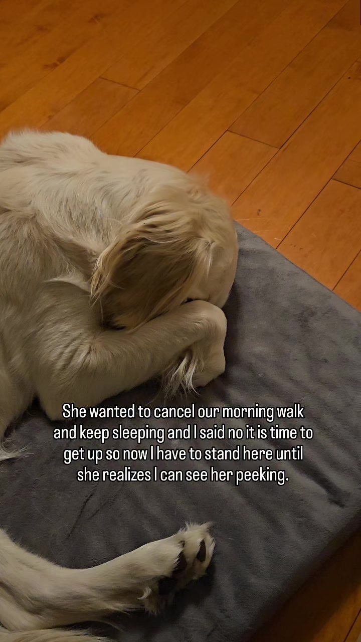 @MaxiTheCream