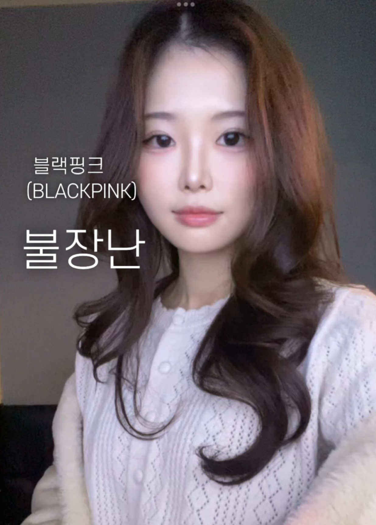 @찐보돌