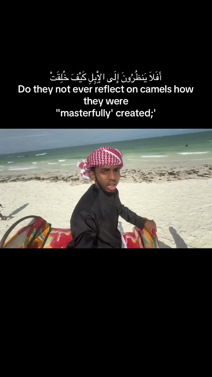 @صفوان