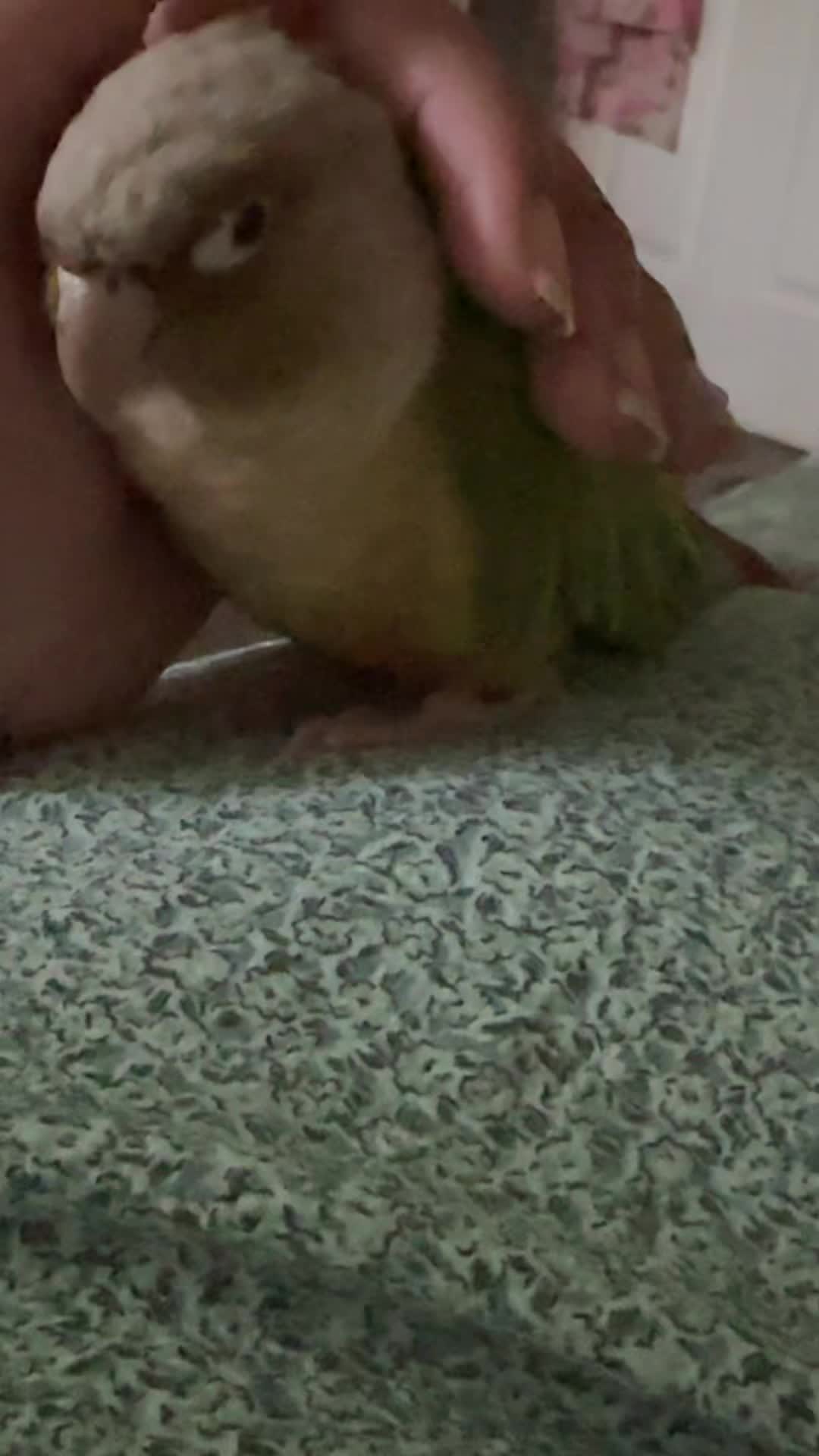 @piinkandgreen