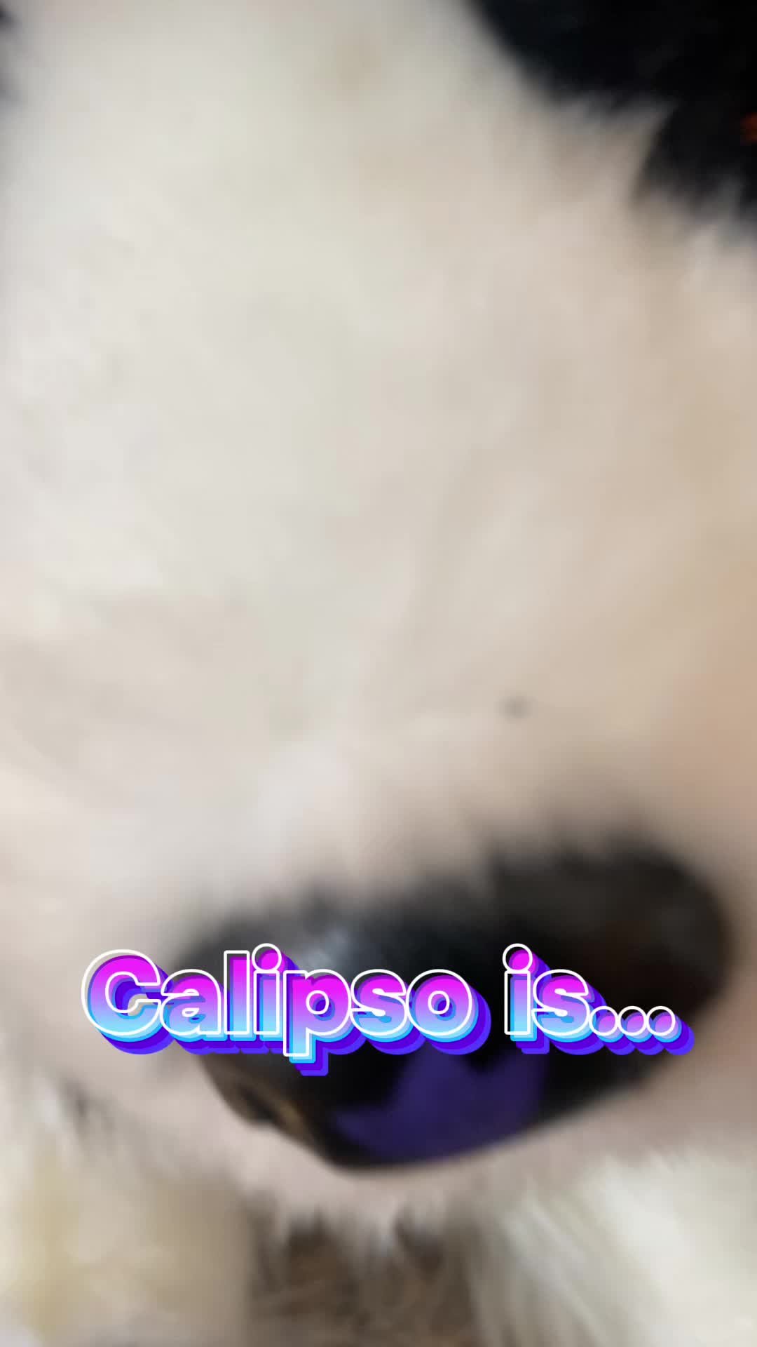 @๐ท๏ธ๐ธ๏ธโ๐๐๐๐๐พ๐โ๐ช๐ง
