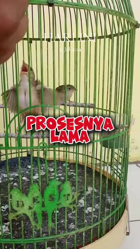 @totalbukpar