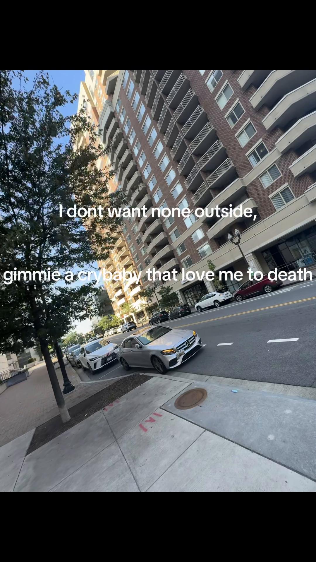 @301_Polo