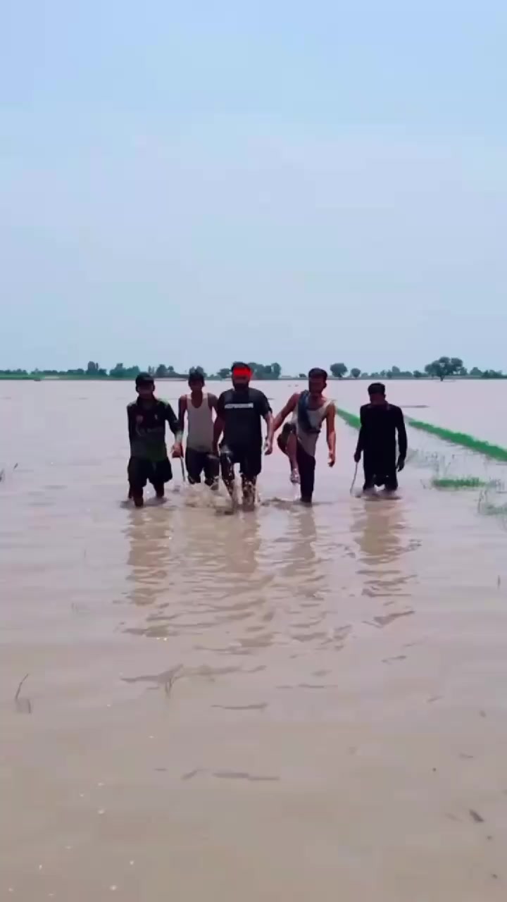 @فاروق انور