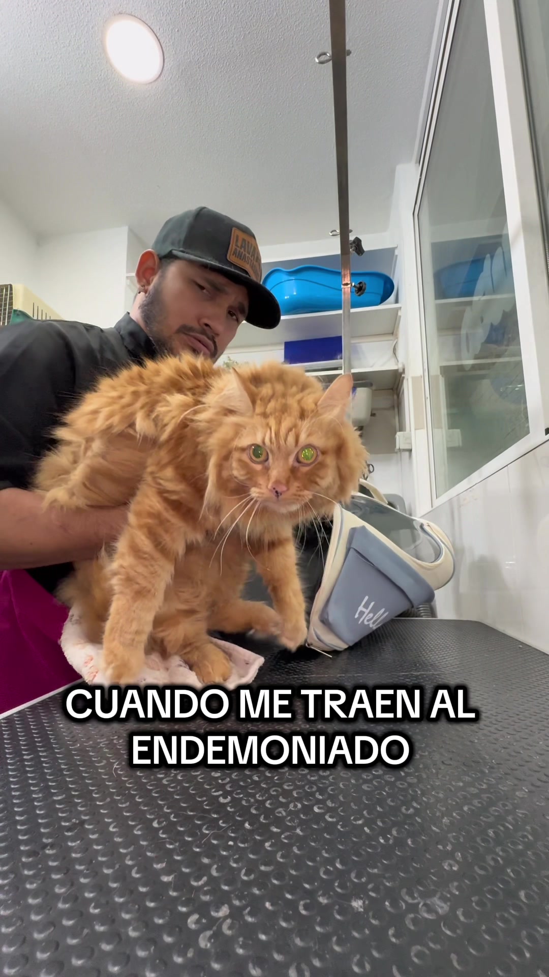@Victor The Groomer