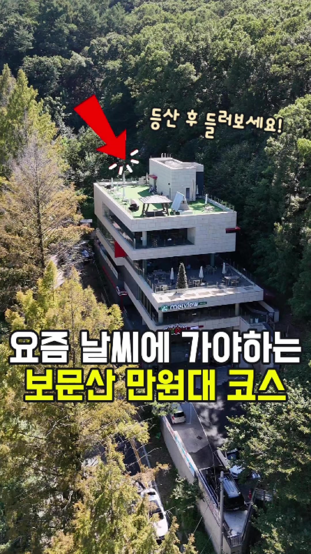 @대전토박이