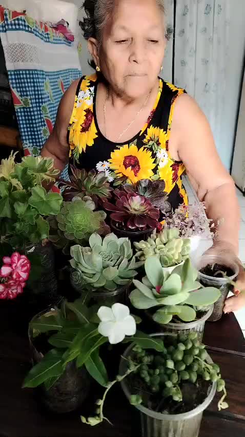 @Victoria Barrios Rizos
