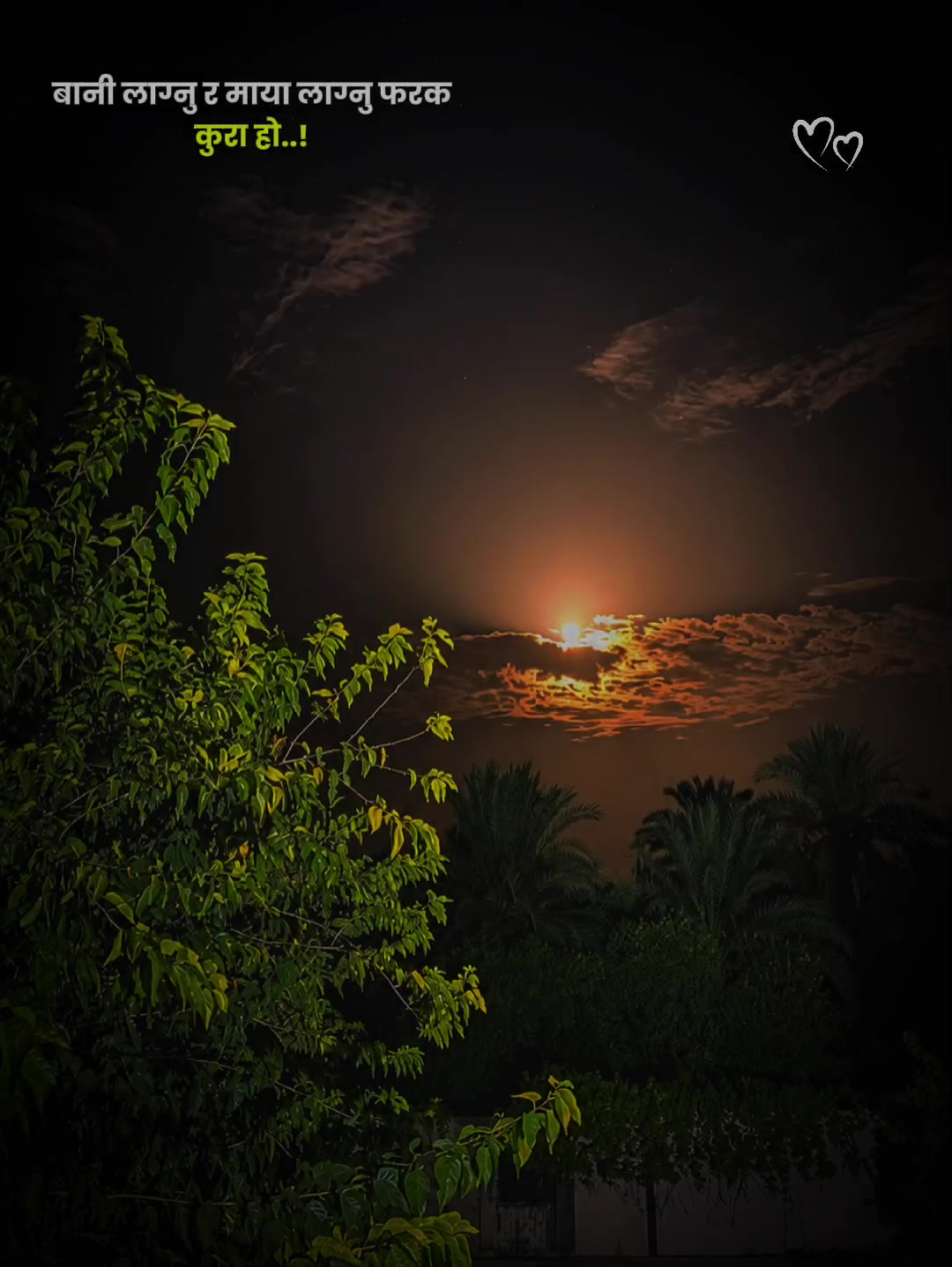 @𝐛𝐞𝐚𝐮𝐭𝐢𝐟𝐮𝐥 𝐥𝐢𝐧𝐞𝐬✓