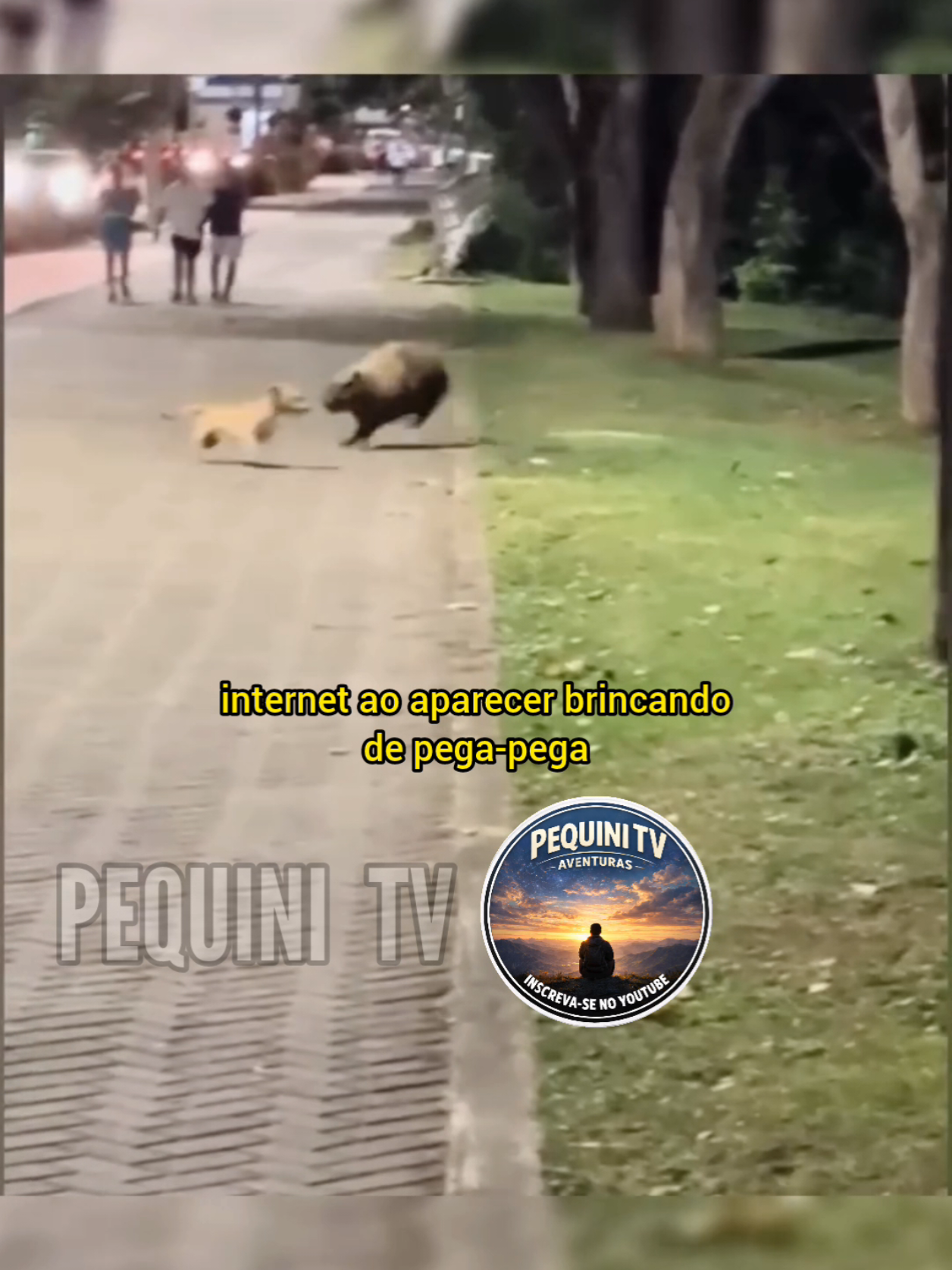 @PEQUINI TV