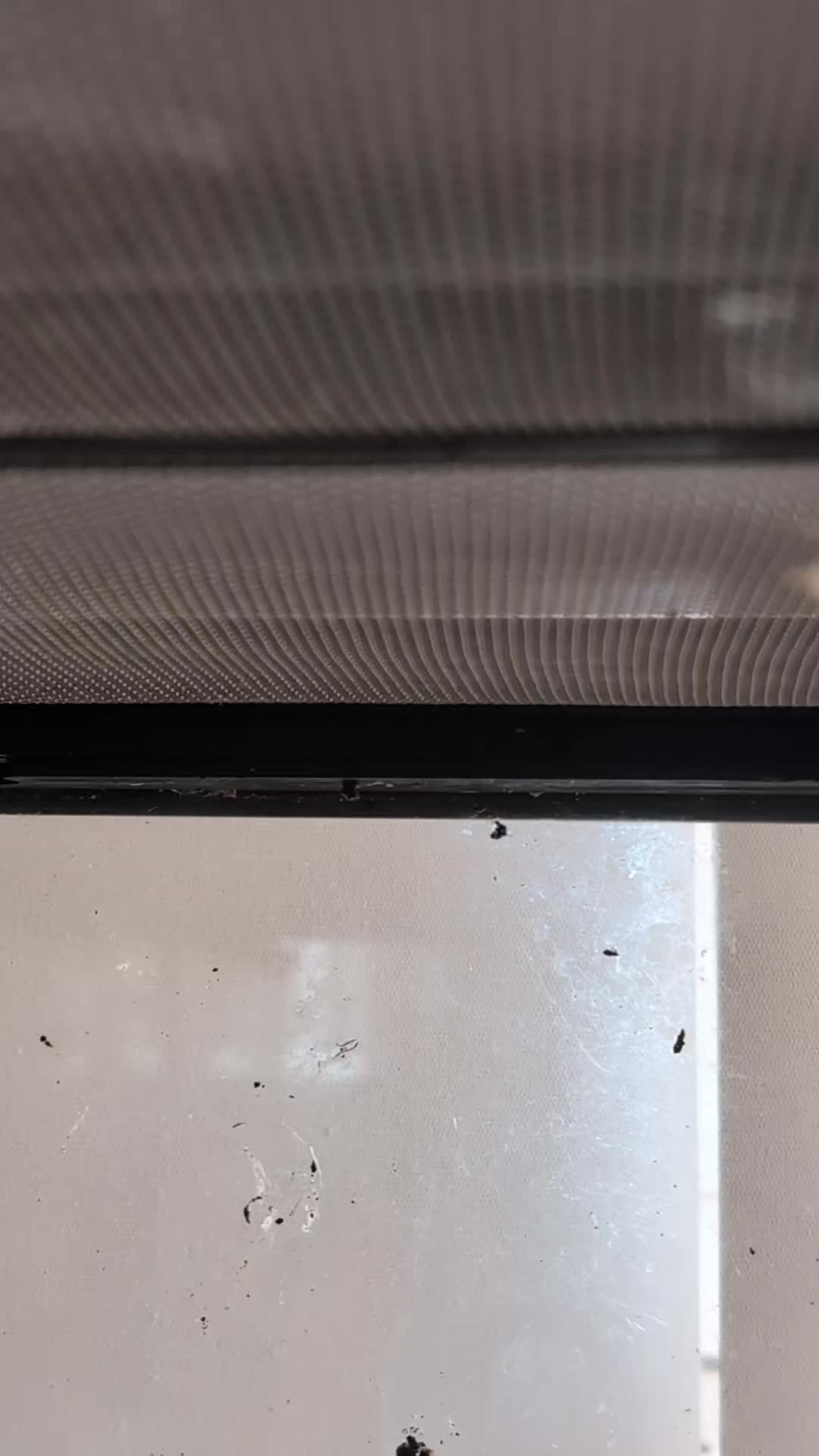 @Mrs Palindrome