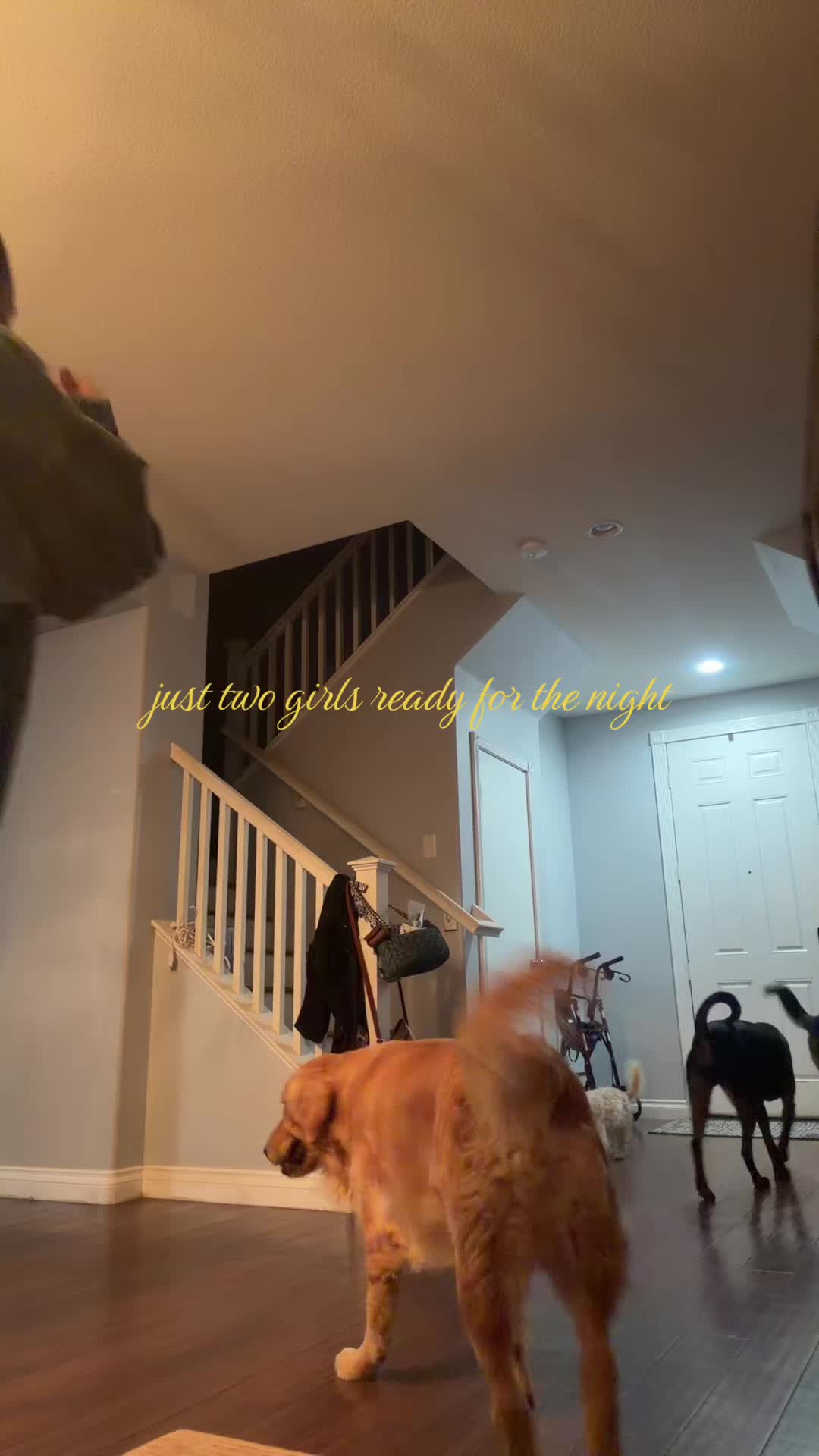 @GENESIS
