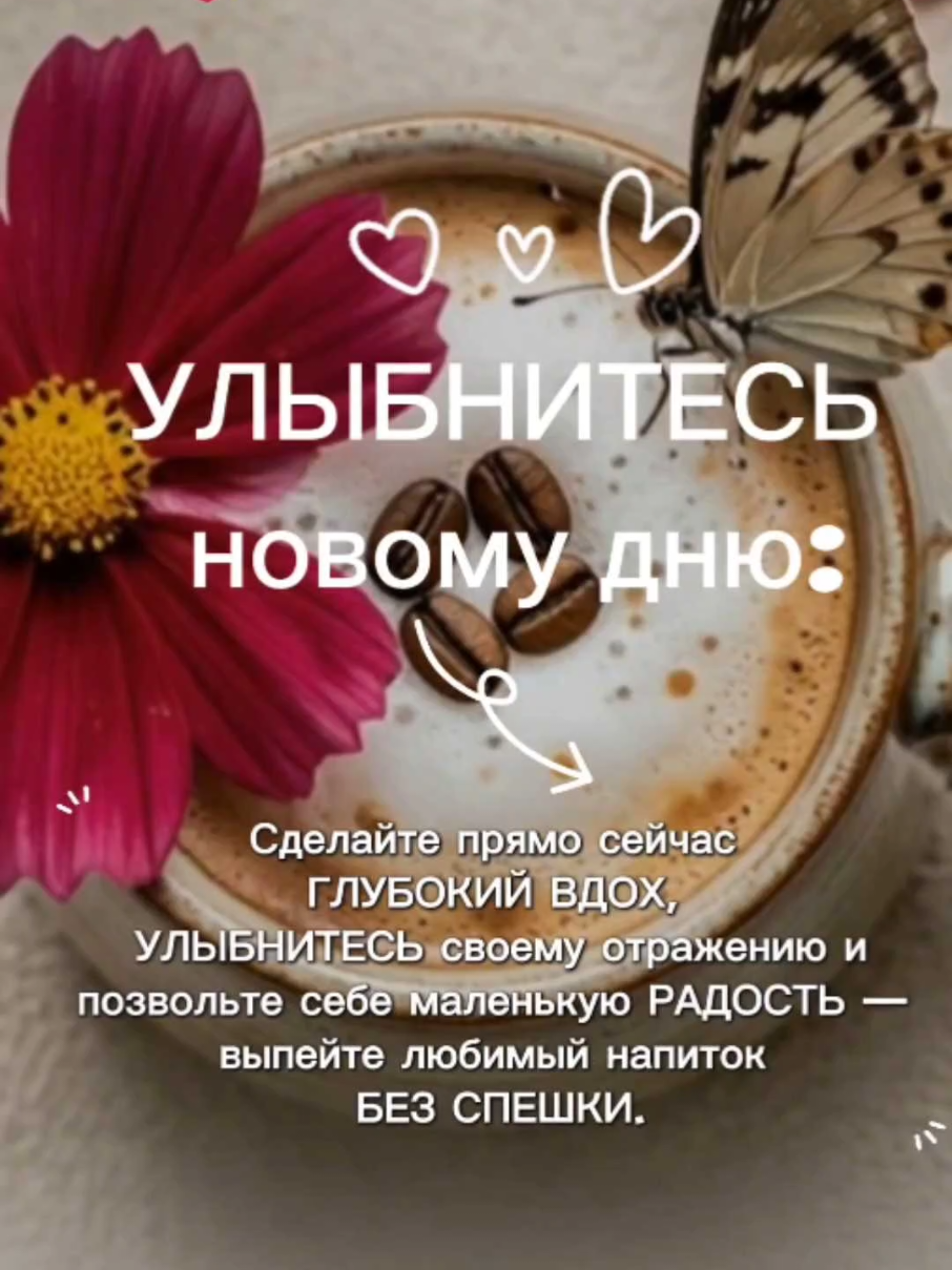 @Ольга