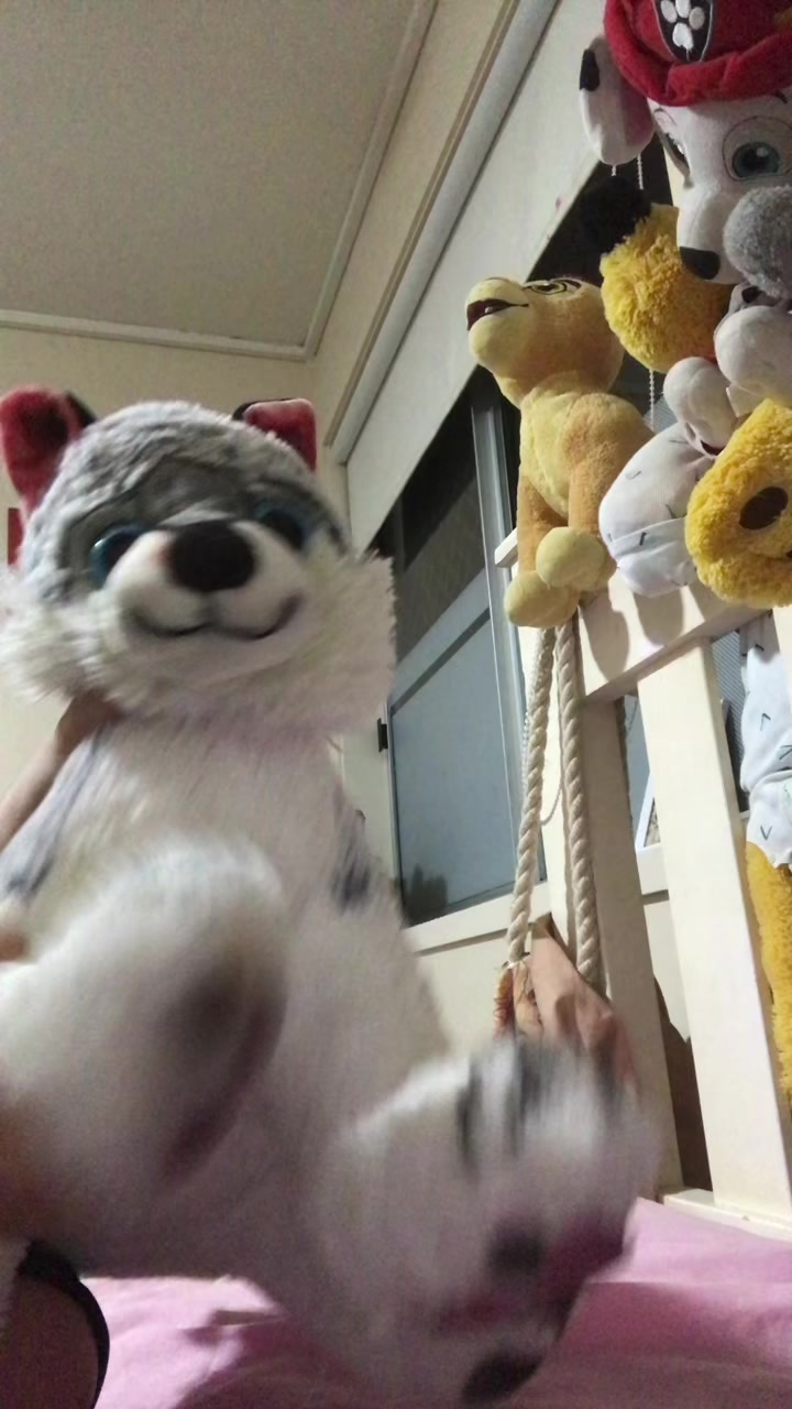 @My and essa plushy