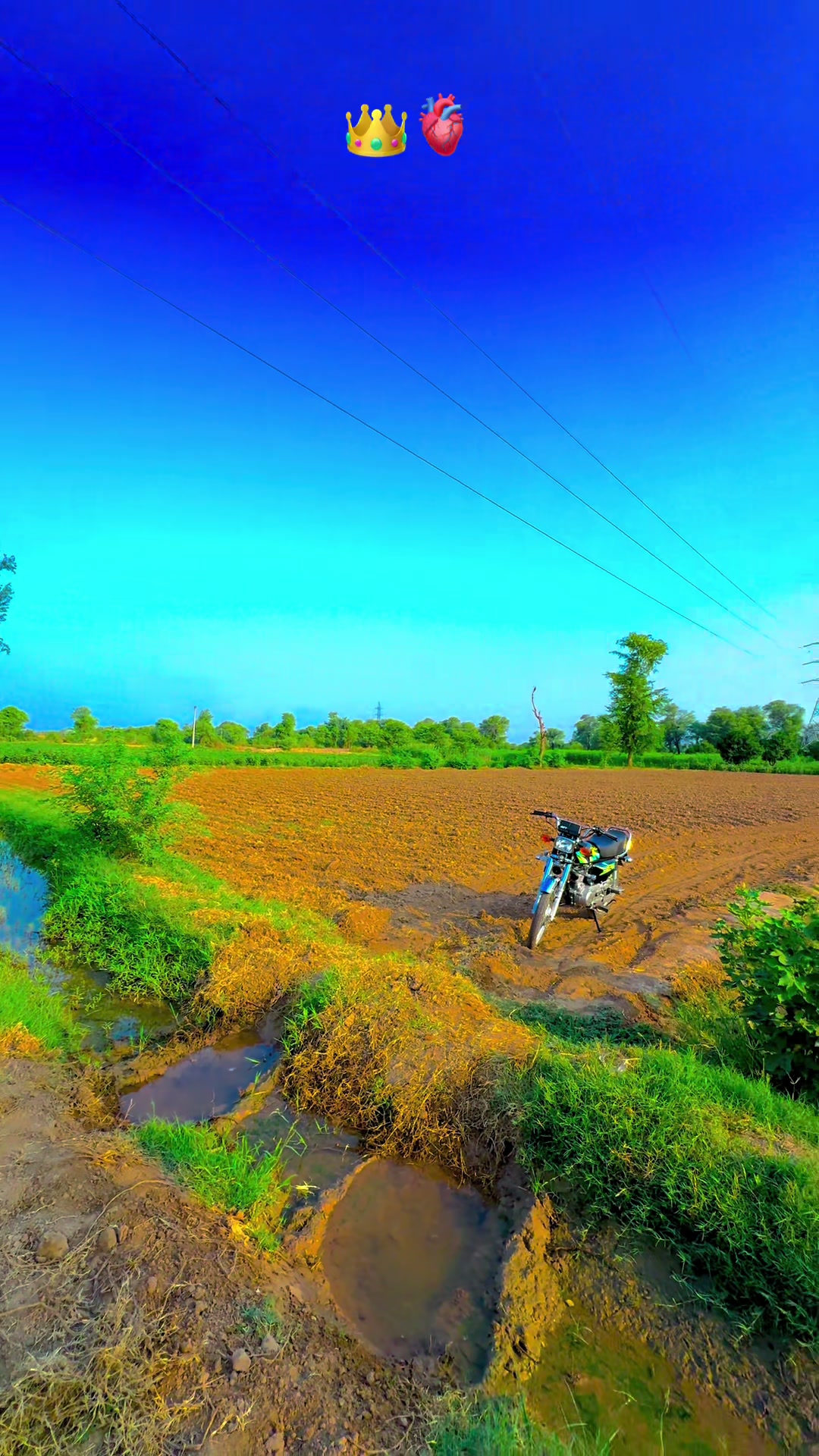 @پنجابی کلچر 🌾🍂