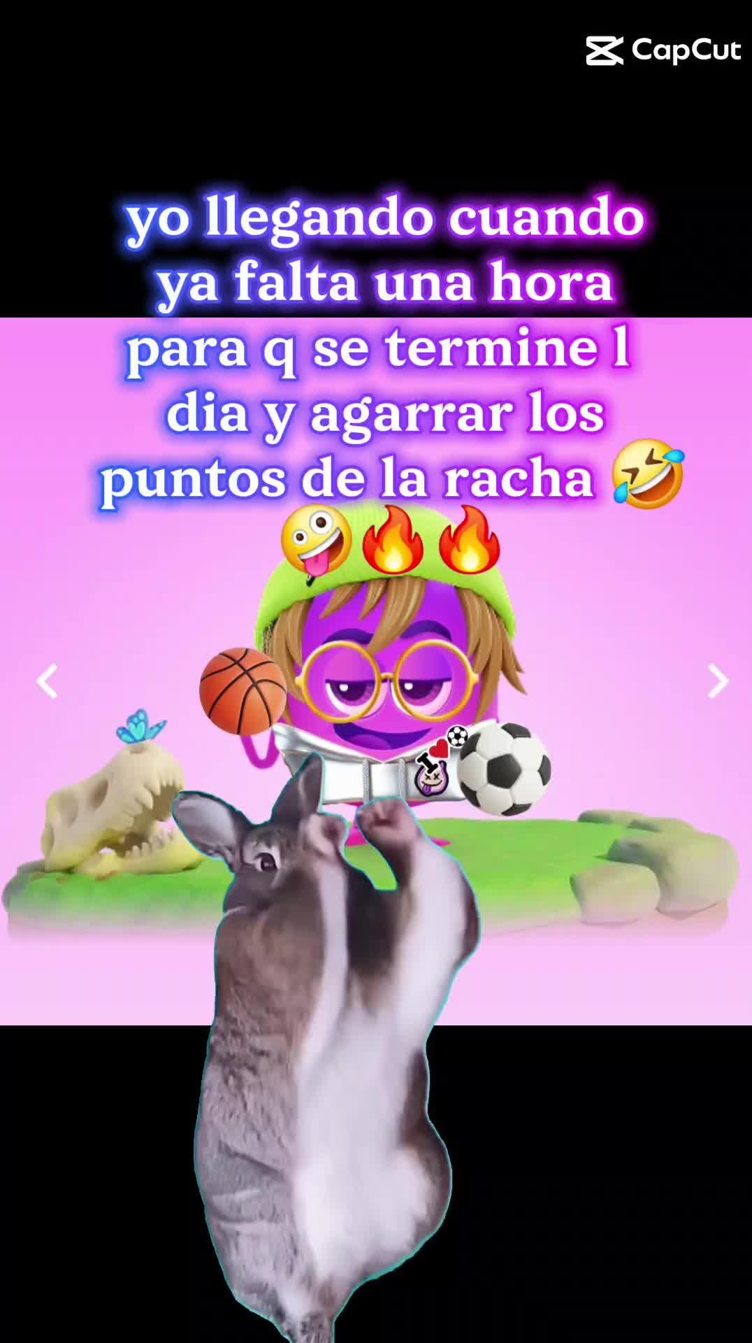 @🦁osiris "osi"🦋🧁🐬🎶🌅