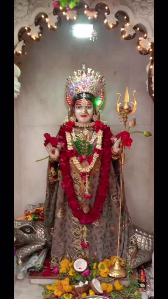 @ruchizala3