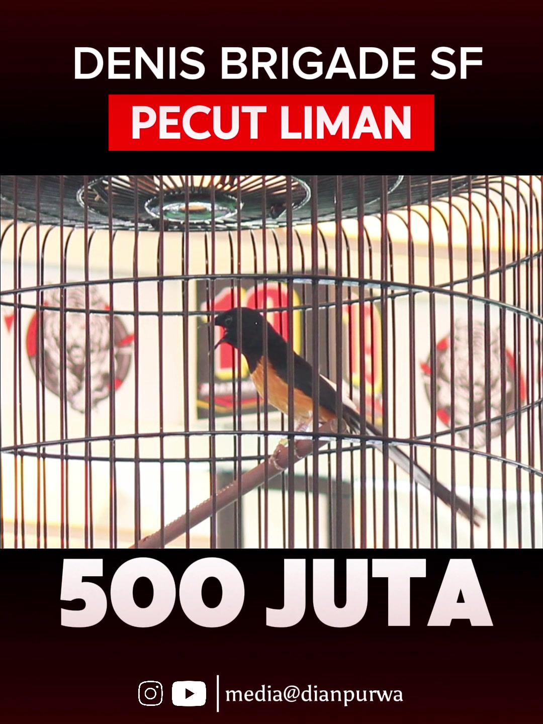@DIANPURWA