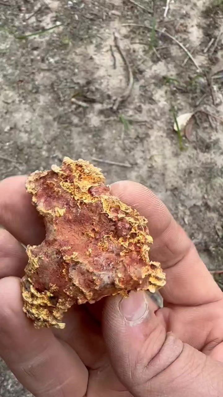 @Gold 22