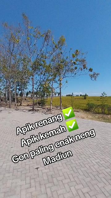 @Kingibra Gaming